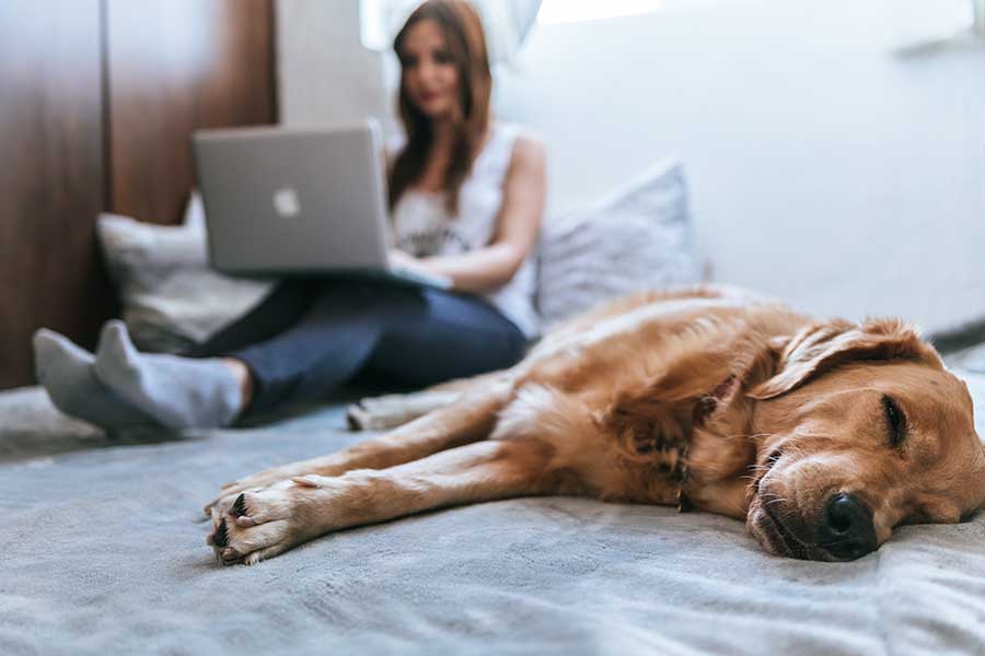 online consultations